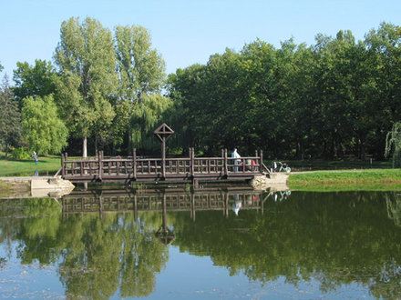 Debrecen, die zweitgrsste Stadt von Ungarn ist das wissenschaftliche und kulturelle Zentrum der Ostregion und der Grossen Tiefebene. Die Stadt liegt 220 Kilometer weit von Budapest entfernt.