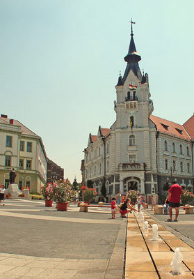 Kaposvr is Somogy county's economic, commercial, tourist, and cultural center, and is thus a premier player in the region.