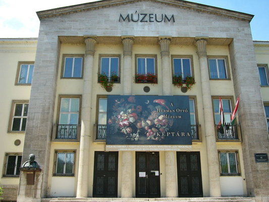 Der Ursprung der Geschichte von Miskolc ist auf die Kultur der Eiszeit der Urmenschen zurckzufhren. Die ersten Einwohner gehrten dem Stamm der Kelten namens Kotinus an, Ende der Eisenzeit sind sie hier angesiedelt.