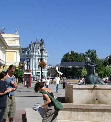 Nyregyhza es la sede de la provincia Szabolcs-Szatmr-Bereg que se encuentra en la parte noreste de Hungra. La 