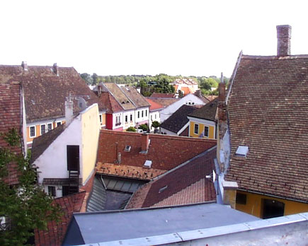 Al norte de Budapest se encuentra una de las perlas del Recodo del Danubio, la ciudad de Szentendre (San Andrs). Esta tranquila y pequea ciudad est situada a slo 20 minutos en coche y a 40 minutos en transporte pblico de la capital. Es la ciudad de las artes y los museos, la preferida de los excursionistas pedrestres y acuticos.