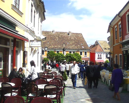 Al norte de Budapest se encuentra una de las perlas del Recodo del Danubio, la ciudad de Szentendre (San Andrs). Esta tranquila y pequea ciudad est situada a slo 20 minutos en coche y a 40 minutos en transporte pblico de la capital. Es la ciudad de las artes y los museos, la preferida de los excursionistas pedrestres y acuticos.