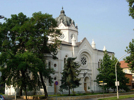 Szolnok is the capital of Jsz-Nagykun-Szolnok county and is the meeting point of the Tisza and Zagyva rivers. It is the waterway, road, and railroad junction of Alfld.