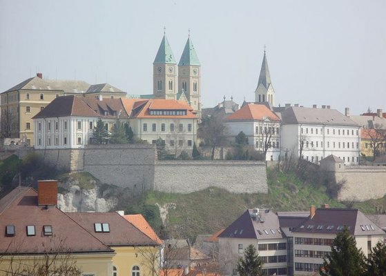 A Balaton-felvidk s a Bakony kztt elterl 59 000 lakos vros trtnelmi mltja s emlkei egszen a honfoglals idejig nylnak vissza. Veszprmet sokan a kirlynk vrosaknt emlegetik.