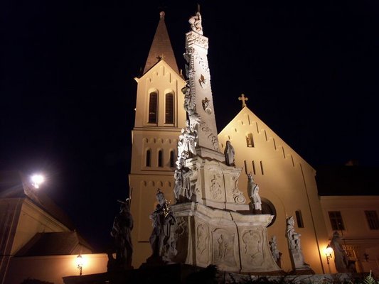 Die historische Vergangenheit und Erinnerungen der Stadt mit 59 000 Einwohnern zwischen dem Oberland Balaton und Bakony  gehen bis zur Landnahme zurck. Veszprm wird von vielen als die Stadt der Kniginnen bezeichnet.