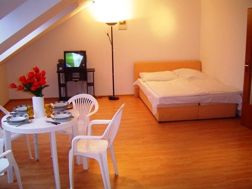 Fully equipped, new studios, one-, and two-room-apartments for 1-5 persons. There is 0-24 reception service, garage, in the new building, which is located only 50 metres from the Raday, and 150 metres from the Vaci pedestrian steet.
