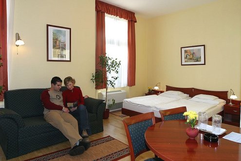 Hotel Aqua is located in Eger, only 100 meters away from the Turkish Bath, the open air bath and the Aladar Bitskey swimming pool. The hotel maintains 16 air-conditioned rooms.
