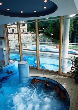 Our hotel is located close to the thermal lake of H�v�z (300 m). It's open all year round and waiting for you with high quality services. The hotel offers - in addition to the traditional health preservation cures - also different fitness, wellness and beauty packages.