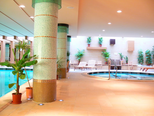 Hotel Fagus**** is a new conference and wellness hotel situated in the forests of L�v�r Hills in the green belt of Sopron, just 7 kms far from the border of Hungary and Austria, 15 kms from Lake Fert�, 60 kms from Vienna and 220 kms from Budapest.