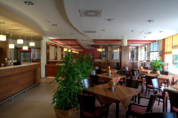 The hotel is located in the historical city center, right next to the rkd Shopping Center. The Hotel Famulus is one of the biggest hotels of the city, has the widest offer of services and operates all year.