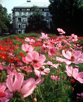 Danubius Grand Hotel Margitsziget was built in 1873 and fully restores in 1987 and in 2000 to traditional style and standards with modern equipment. Ramada.