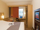 Ibis Gy�r