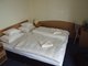 Hotel Papillon