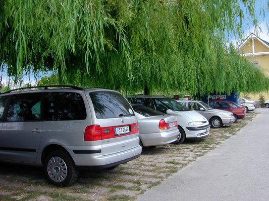 Our Pension and Restaurant awaits its guests along main road 65, at Honv�d street 73, in a cozy environment, only 1500 meters away from highway M7. The area of the pension covers 8000 m2 in size, and it is located ca. 3,5 Kms away from Lake Balaton.