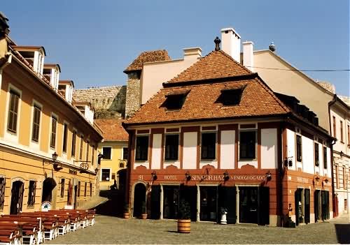 Sen�tor House Hotel - This building situated at 11 Dob� t�r was already standing in the year 1727 when the Serb Simon Szab� sold 
