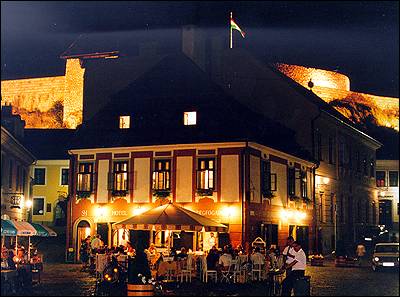 Sen�tor House Hotel - This building situated at 11 Dob� t�r was already standing in the year 1727 when the Serb Simon Szab� sold 